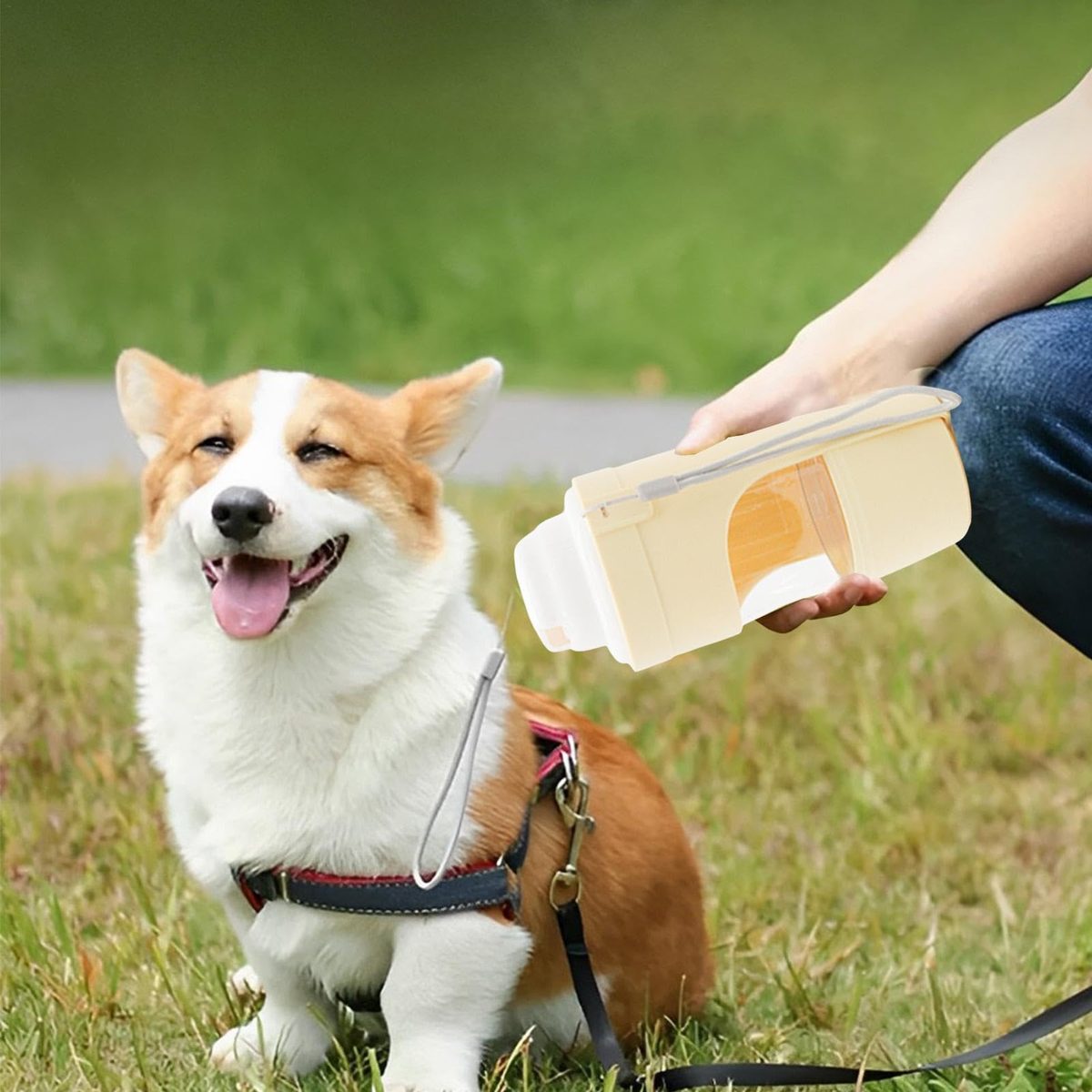 2-in-1 Travel Water Bottle & Food Cup