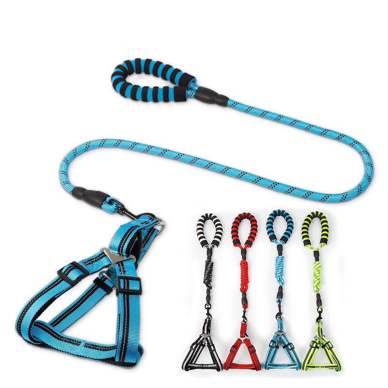 Walk Kit