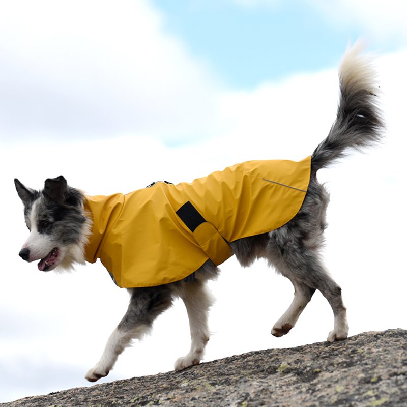 Waterproof Windbreaker Coat (Premium)